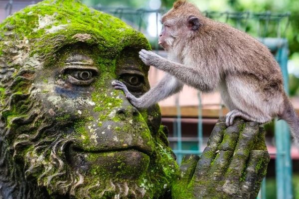 28_img destination travel